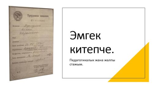 Абдылдаева Айхан Карабаевна