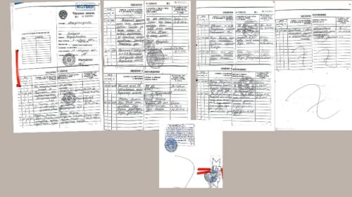 Мырзагелдиева Эльнура Кадырбековна