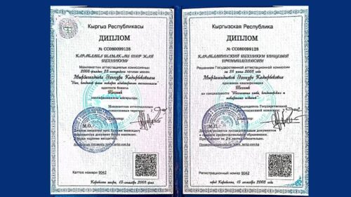 Мырзагелдиева Эльнура Кадырбековна