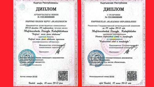 Мырзагелдиева Эльнура Кадырбековна
