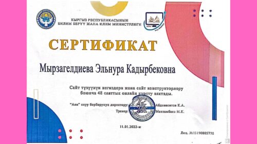 Мырзагелдиева Эльнура Кадырбековна