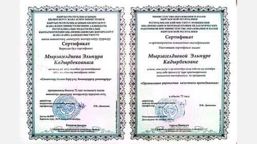 Мырзагелдиева Эльнура Кадырбековна