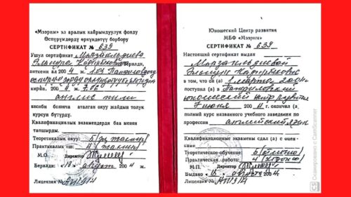 Мырзагелдиева Эльнура Кадырбековна