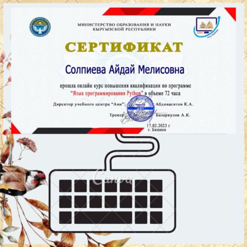 Солпиева Айдай Мелисовна
