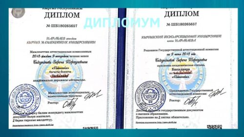 Бозгунчиева Зарема Торогуловна