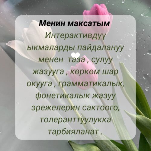 Таштаналиева Аида Керимбаевна