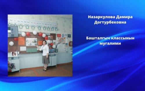 Назаркулова Дамира Догтурбековна