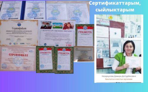Назаркулова Дамира Догтурбековна